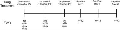 Propranolol treatment during repetitive mild traumatic brain injuries induces transcriptomic changes in the bone marrow of mice